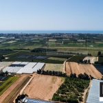 וילה על מגרש ענק 650 מ”ר בעמק-חפר וילה על מגרש ענק 650 מ”ר בעמק-חפר