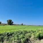 למכירה נחלה בעמק-חפר כ-10 דונם צמודים למכירה נחלה בעמק-חפר כ-10 דונם צמודים